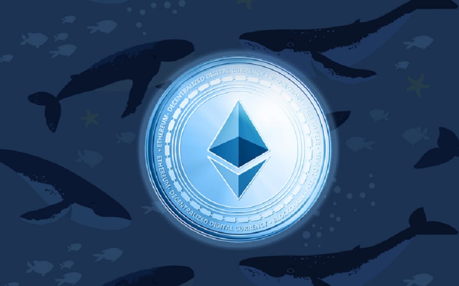 ETH Whales Move Ethereum to Exchanges Awaiting The Merge