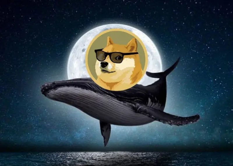 Dogecoin Whales Scoop Up 620M DOGE in Anticipation of Price Breakout