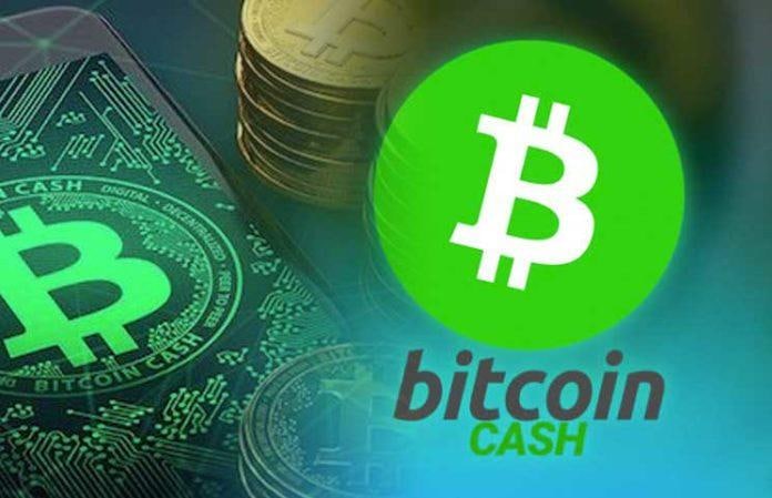 No flexing for Bitcoin Cash users as BCH loses 98 against Bitcoin