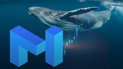 MATIC Soars 70 This Week as Whales Show Highest Accumulation Since November