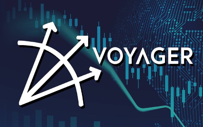 Voyagers 60 share price plunge leads sea of red for crypto stocks