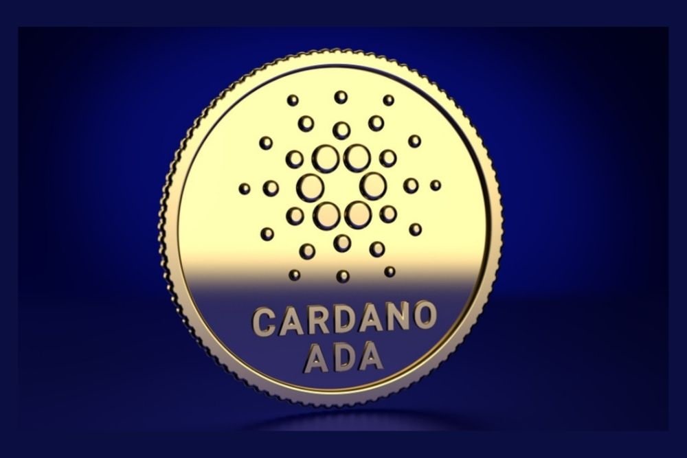 Cardano Whales Bought 200 Million More ADA in 5 Weeks